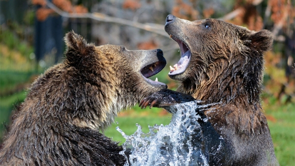 Биткоин снижает сложность майнинга: можно ли считать это сигналом о достижении дна на медвежьем рынке?